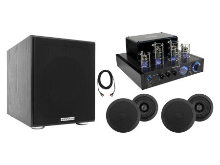 BluTube Tube Amplifier Home Theater Receiver+4) 5.25  Black Ceiling Speakers+Sub Hot on Sale