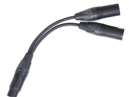 Microphone Y-Adapter Cable XLR5F to XLR3M AC-20 Online