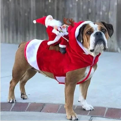 Dog Sweater, Santa Riding on Back For Sale