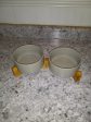 Dog Food Water Dish Set Online